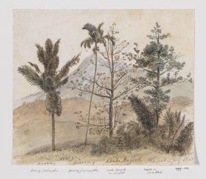 Trees in Mountain Landscape, Java by Adrianus Johannes Bik