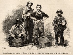 Before the sheep trade, all the staff of the farm were employed on this spot, boy, servant, under the supervision of the shepherd, milk was collected in the seilles (metal vase etame), engraving after a drawing by A. Marie, illustrating a journey to Roquef