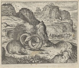 Fable of the Hedgehog and the Snake by Egidius  Sadeler (II)