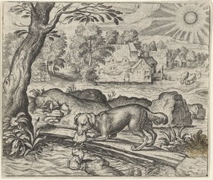 Fable of the Dog and Its Reflection