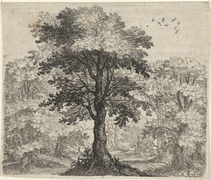 Fable of the Elm and the Oak by Egidius  Sadeler (II)