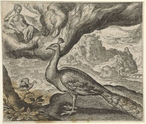 Fable of the Peacock and the Nightingale