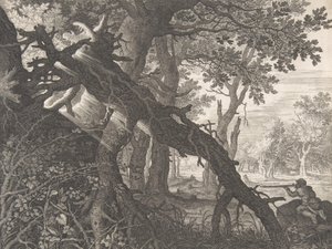 A Forest with a Rabbit Hunt