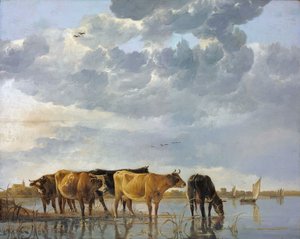 Cattle in the Water by Aelbert Cuyp