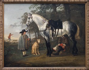 Grey horse in a landscape