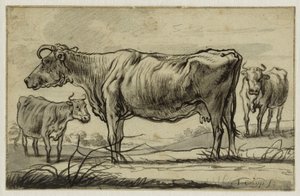 Three Cows in the Pasture (Lugt 16) by Aelbert Cuyp