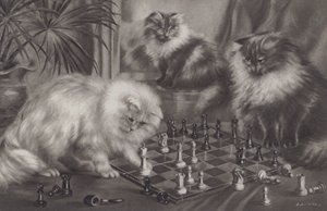 Group of cats playing with chess pieces by Agnes Augusta Talboys