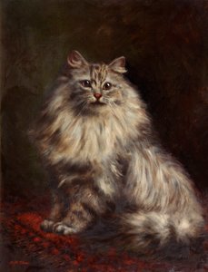 Persian Cat, c.1908-20