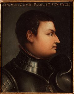 Portrait of Giovanni dalle Bande Nere (1421-1463)