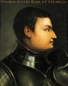 Portrait of Lodovico de Medici also known as Giovanni dalle Bande Nere