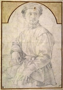 Study for a young man with a lute by Agnolo Bronzino