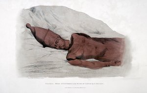Colossal Head Discovered in the Ruins of Carnak by G Belzoni