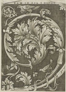 Foliage Ornament from Ancient Roman Church by Agostino dei Musi