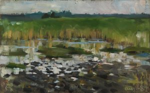 The Rushes by Akseli Gallen-Kallela