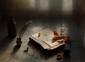 Quill Pen and Old Papers by Ala Pneuma