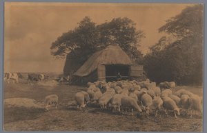 Landscape with Sheep, Cows, Farmer, and Sheepfold, Netherlands