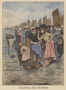 Harvesting Oysters at Cancale, Brittany by Albert Besnou