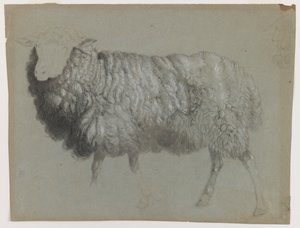 Study of an Ewe, c.1855