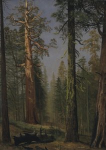 The Grizzly Giant Sequoia, Mariposa Grove, California by Albert Bierstadt