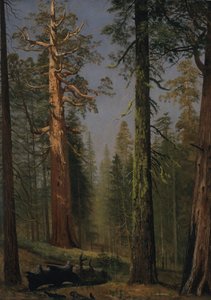 The Grizzly Giant Sequoia, Mariposa Grove, California by Albert Bierstadt