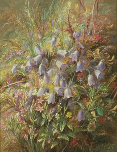 Harebells and Other Woodland Flowers and Grasses