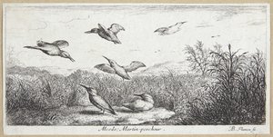 The Kingfisher