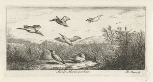 Landscape with Kingfishers