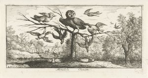 Landscape with Barn Owl among Other Birds (series: Bird Book) by Albert Flamen