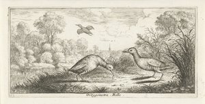Landscape with Two Rails on a Shore (Bird Book)