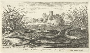 Mudskippers on a Riverbank (Fish and Other Sea Creatures - Freshwater Second Series) by Albert Flamen