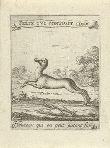 Jumping Deer by Albert Flamen