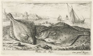 Two Flatfish on the Beach
