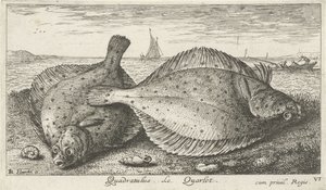 Two Plaices on the Beach (Quadratulus. The Quarlet) (Fish and Other Sea Creatures - Saltwater Third Series) (Sea Fish)