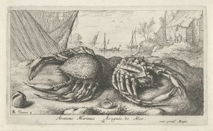 Two Spider Crabs by a Fishing Net