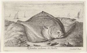 Two Turbots on the Beach