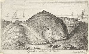 Two Turbots on the Beach