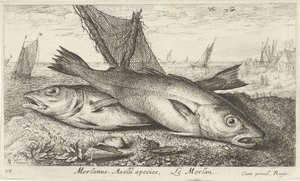 Two Whiting on the Beach