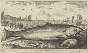Two Salmon on the Beach (series title: Fish and Other Sea Creatures - Saltwater First Series)