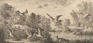 The Lapwing: Book of Birds, 1655-1660
