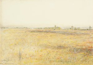 Cornfields, Hooe. Bexhill on Sea