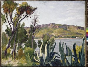 Landscape with agave