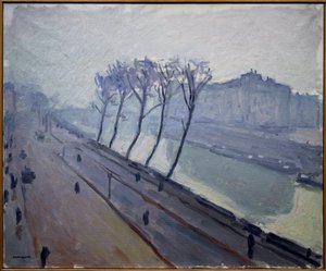 View of the Quays of Seine in Paris