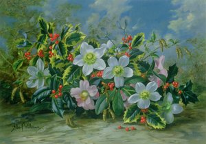 Christmas Roses and Holly