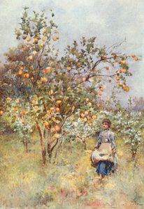 Lemon-Trees: Spring by Alberto Pisa