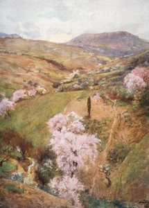 Spring Day in a Valley near Girgenti by Alberto Pisa