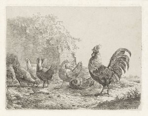 Rooster with Five Hens