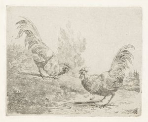 Two Fighting Roosters