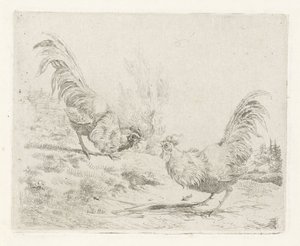 Two Fighting Roosters