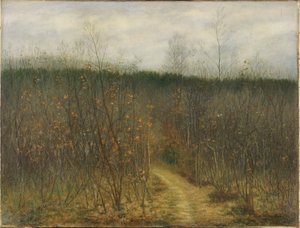 Coppice at Sint-Martens-Latem