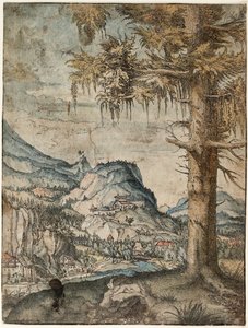Large Spruce by Albrecht Altdorfer